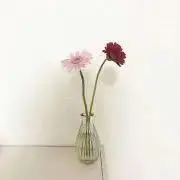 natの画像
