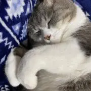 みっきー