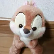 あーちゃりーの画像