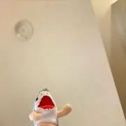 佐藤の画像