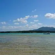 ゆらりの画像