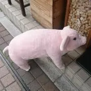 レーズンの画像
