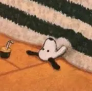 pomの画像