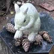 ムギ