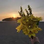 らなすけの画像