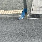 みつの画像
