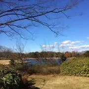 たまたま^ - ^の画像