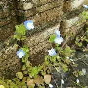 こうはるママ☆の画像