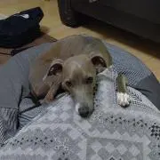 SOL♡LUNA