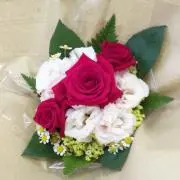 かーの画像