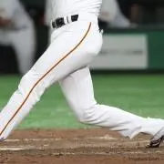 確定の画像