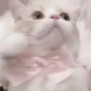 もの画像