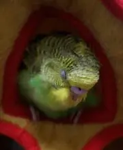 名ママ
