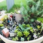 Rinの画像