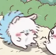 あんめるつの画像