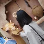 みか【プロフィール一読ください】の画像