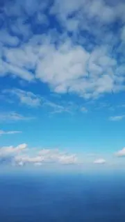 きこの画像