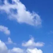 ちくわの画像