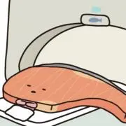 しゃけの画像