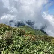 佐竹の画像