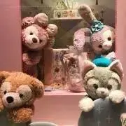 もみりんちゃんの画像