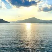 NokoNokoの画像