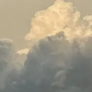 信頼の付き人