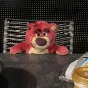ALPHAの画像
