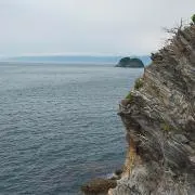 太一君の画像