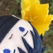 73の画像