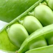 豆子の画像
