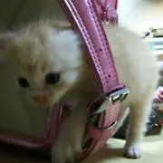 おっとと