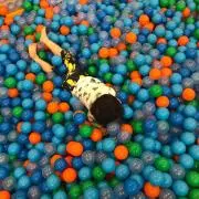 ぴぃの画像