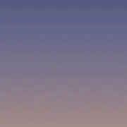 ぽんずの画像
