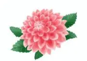 なるこ 　即購入OKの画像