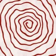ナカの画像