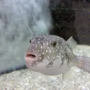 断捨離中の画像