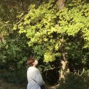 はるももの画像