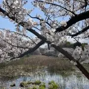 mkmkの画像