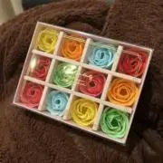 はとの画像