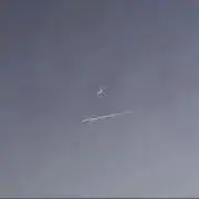 【即購入ok⭐︎】の画像