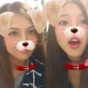 ここたんここたん