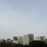 さらCの画像