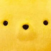 ぷりんの画像