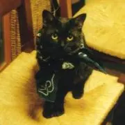 Kurosukeの画像