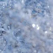 TUGIの画像