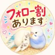 やまぴ※フォロー割ありの画像