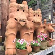 BOWCHANの画像