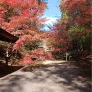 不知火の画像