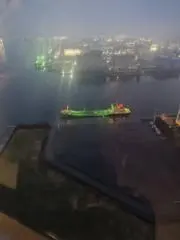 YO-sanの画像